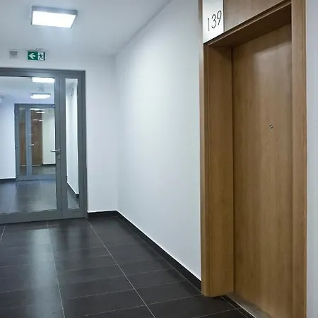 Free Guarded Parking, New Loft, Air Condition קרקוב